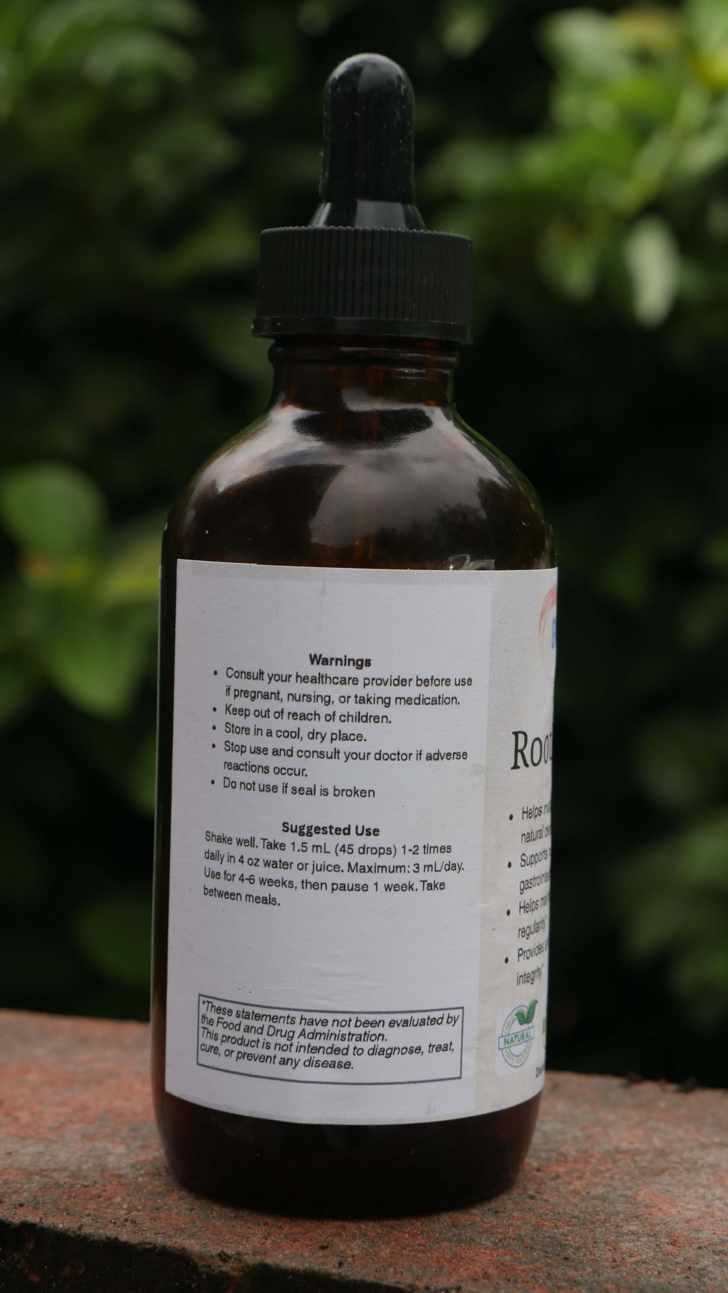 Burdock natural wellness root