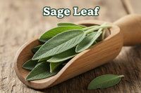 Sage Leaf