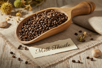 Milk Thistle