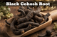 Black Cohosh Root