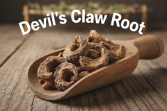 Devil’s Claw Root