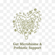 Gut Microbiome & Prebiotic Support