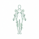Joint Mobility & Flexibility